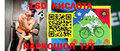 шишки Абинск