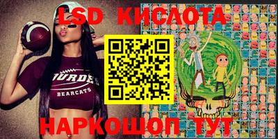 шишки Абинск