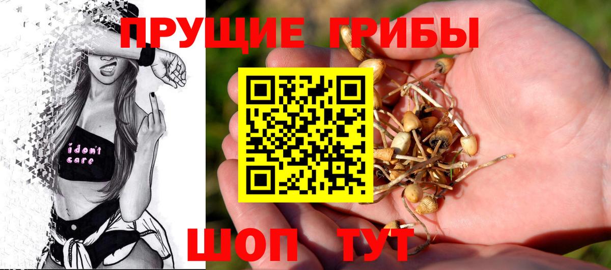 Россия  закладка  Вход с VPN  Галлюциногенные грибы Cubensis 