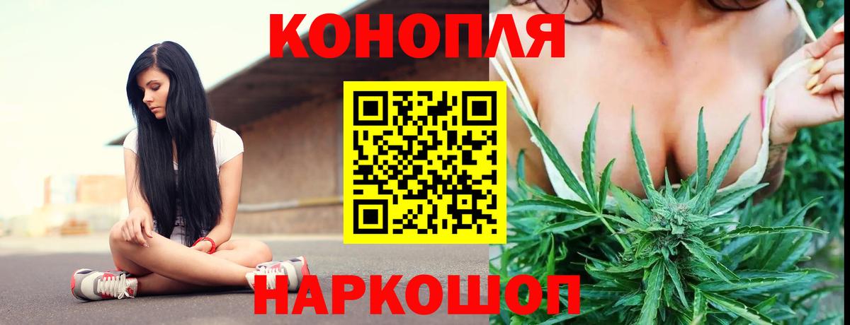 Шишки марихуана сатива  Каннабис конопля  Россия  Марихуана сатива  Вход с VPN 